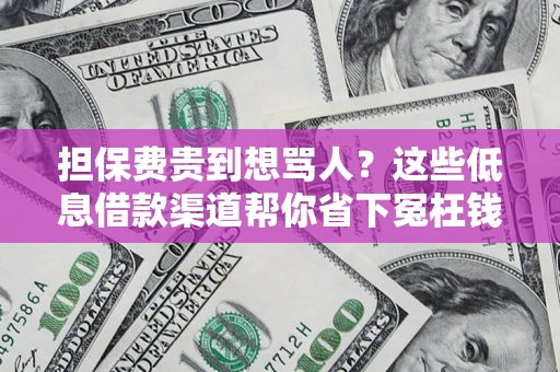 济南担保费贵到想骂人？这些低息借款渠道帮你省下冤枉钱